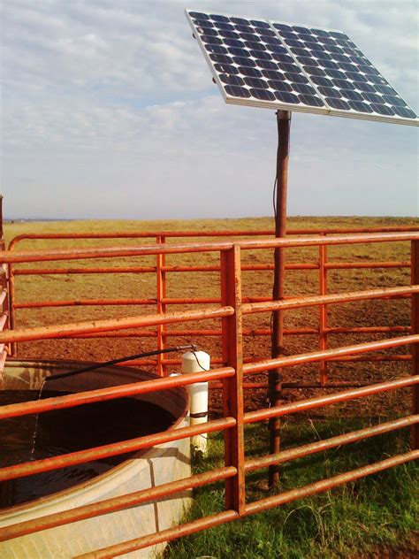 Solar Water Pumps: Why Solar Water Pumps Are a Great Fit for Watering Livestock.