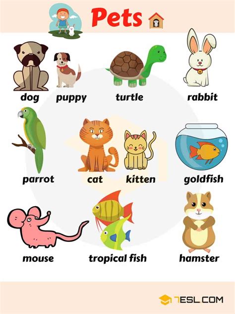 Animal Names | Types of Animals | List of Animals | Animal Pictures • 7ESL