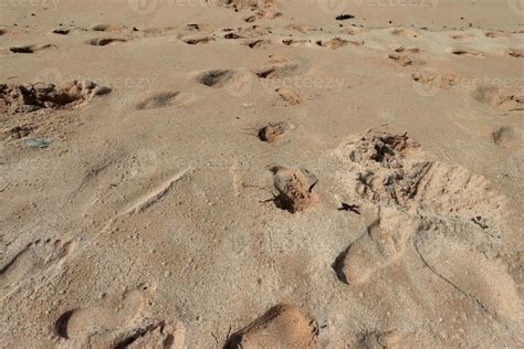 Footprints in the beautiful sand beach 15716898 Stock Photo at Vecteezy