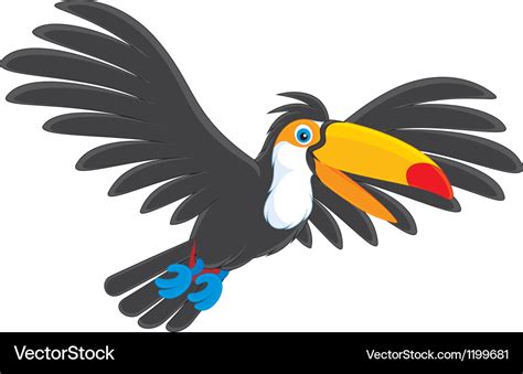 Toucan Royalty Free Vector Image - VectorStock