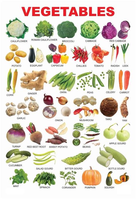 Top 50 List of Vegetables Name in English with Pictures