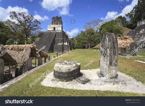 Mayan Pyramid Tikal Guatemala Stock Photo 184210325 | Shutterstock