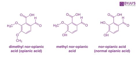 Homologous Series of Alkanes, Alkenes and Alkynes with Examples