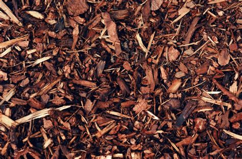 The Ultimate Guide to Mulching: Types, Techniques and How to Make It