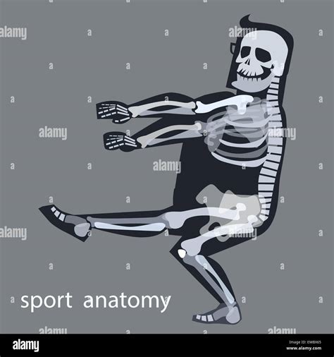 Skeleton anatomy sport male gymnastics. The human skeleton during sports Stock Vector Image ...