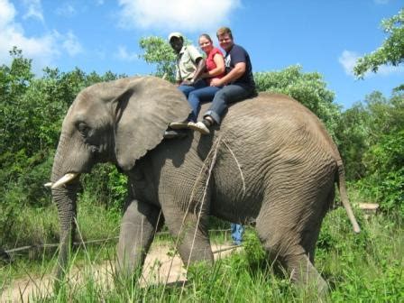 Elephant Sanctuary Hazyview