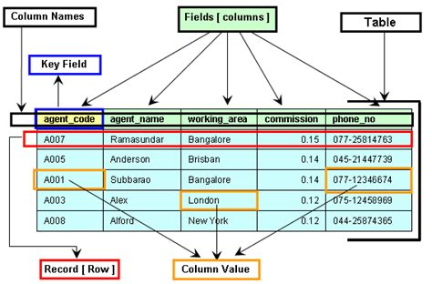 Components of a table (of a database) - w3resource