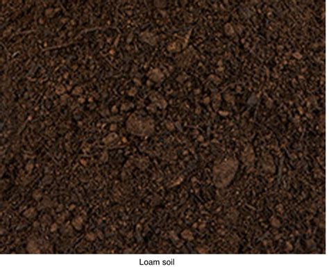 [Solved] Describe 3 soil types that are different than pedocal ...