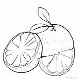 Free Grapefruit Coloring Pages Printable PDF  Coloringfoldercom sketch template