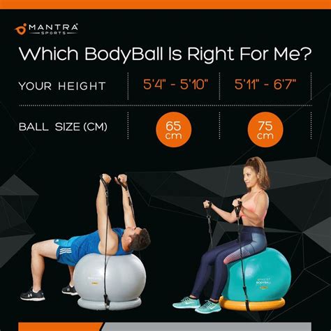 Exercise Ball Chair & Complete Home Gym System - Improves Balance, Core Strength & Posture ...