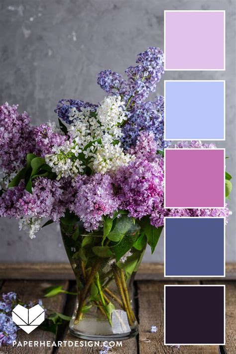 Lilacs are one of my all time favorites. | Purple color palettes, Color schemes colour palettes ...