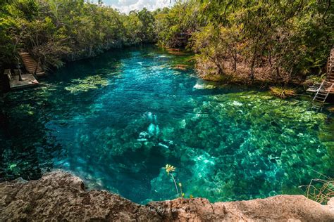 Cenote Jardín del Eden and an Evening in Playa Del Carmen – One Bag of Dreams