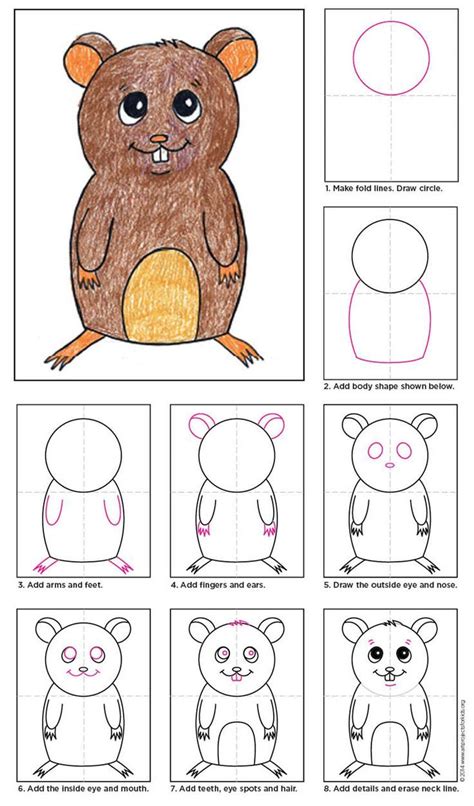 how to draw hamster - Căutare Google | Kids art projects, Art drawings for kids, Art for kids