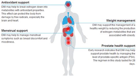 Dim supplement benefits - garetsin