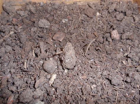 a gardening life: Demystifying Soil Amendments Continued