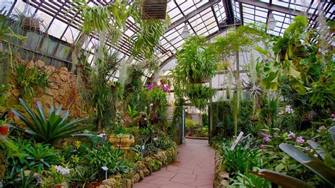 Lincoln Park Conservatory in Chicago, Illinois | Expedia