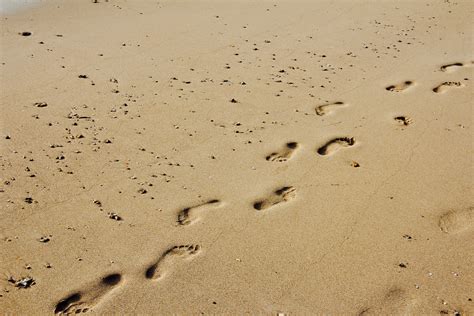 Free Images : sea, sun, footprint, soil, material, tracks in the sand, traces, sand beach ...