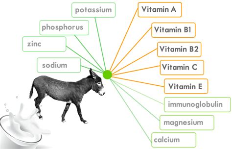 Buzzwords, De-buzzed: 10 Other Ways to Say donkey milk soap benefits - The expert blog 3495