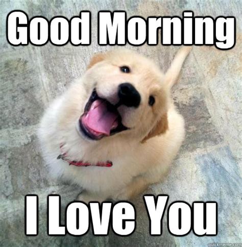 Good Morning I Love You - Actual Puppy - quickmeme