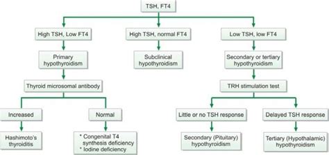 serum tsh level high - Clear Impressed