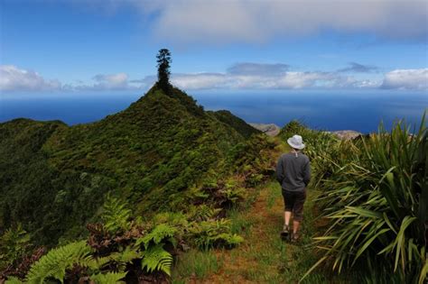 St Helena is a hiker's dream and here's exactly why - Wired For Adventure