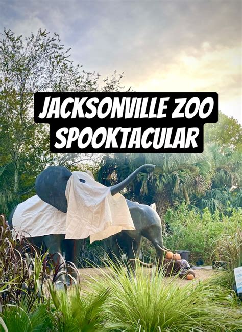 Be as Wicked as You Wish at the Jacksonville Zoo Spooktacular – Geek Mamas