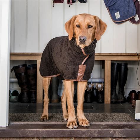 The Best Dog Drying Coats