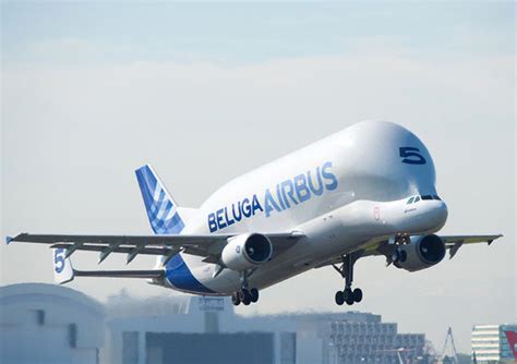 Airbus - Beluga A300-600ST - Aviaexpo.com