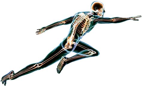 Bone-Health Cofactors: New Science on Vitamin D, K2, Magnesium, and Zinc