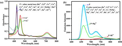 (a) UV-Visible spectra (b) Fluorescence spectra of P with various metal ...