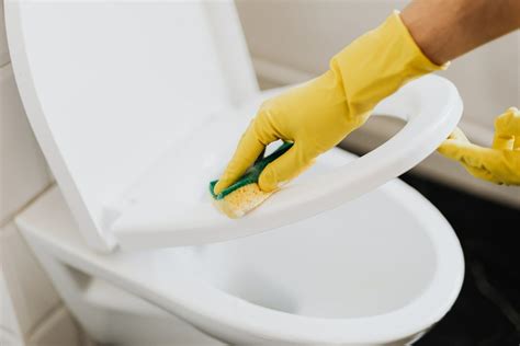 How To Install A New Toilet Seat: A Step-by-step Guide — DIYER