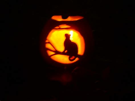 Cat Pumpkin 2003 | One of my jack-o-lanterns from 2003. Opps… | Flickr