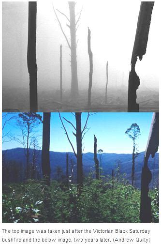 Australia's Black Saturday fires: before and after photos - Wildfire Today