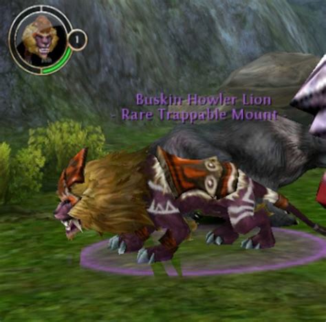 "Order and Chaos": Whispering Islands Mount Locations (Including the Epic Buskin Howler Lion ...