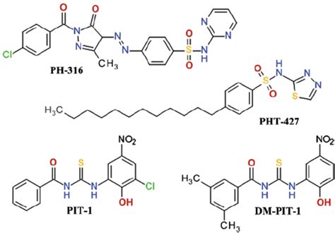 Representative sulfonamide derivatives and thiourea based compounds. | Download Scientific Diagram