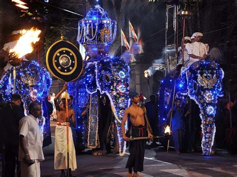 Esala Perahera | TransIndus