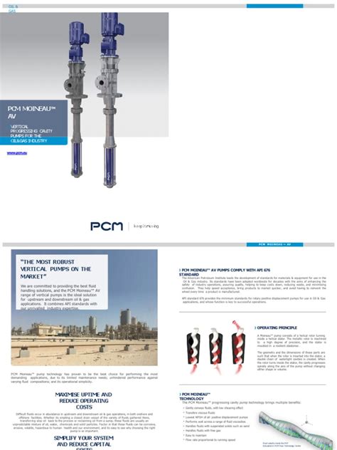 Progresssive Cavity Pump | PDF | Pump | Mechanical Engineering