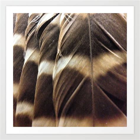 Barred Owl Feathers Art Print by Mzieber | Society6