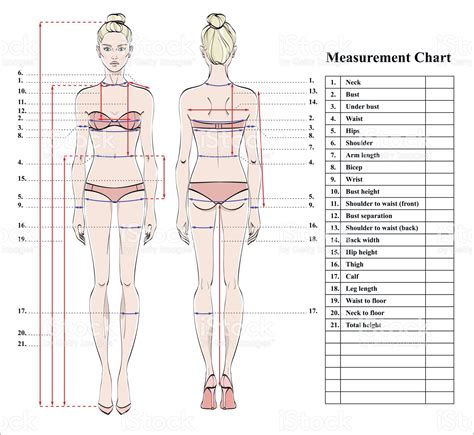 fit female body measurements - For The Greater Column Photographs