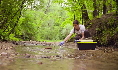 Environmental Sciences | Southwestern Michigan College