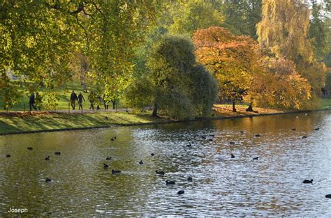 L'Elvireta sempre te la maleta feta: LOS PARQUES DE LONDRES