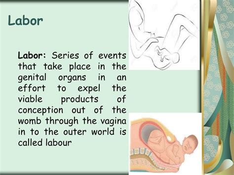 Obstructed labor | PPT