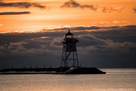 Grand Marais Sunrise Lighthouse Photographic Studies - 365 Days of Birds