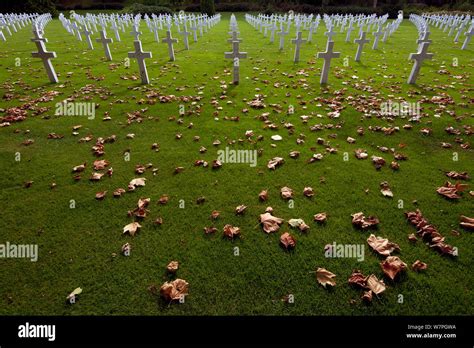 World war 1 graves hi-res stock photography and images - Alamy