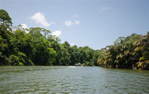 Arriving in Tortuguero National Park, Costa Rica - Duff's Suitcase