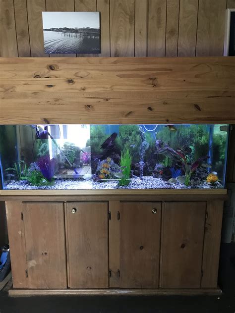 100 gallon aquarium stand and canopy for Sale in Green Cove Springs, FL - OfferUp