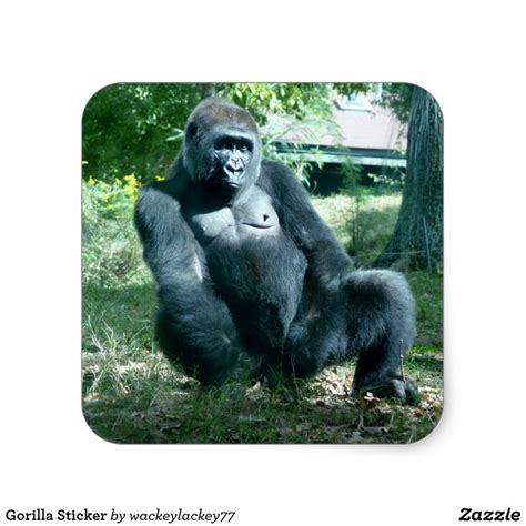 Gorilla Sticker | Zazzle | Gorilla, Stickers, Animals