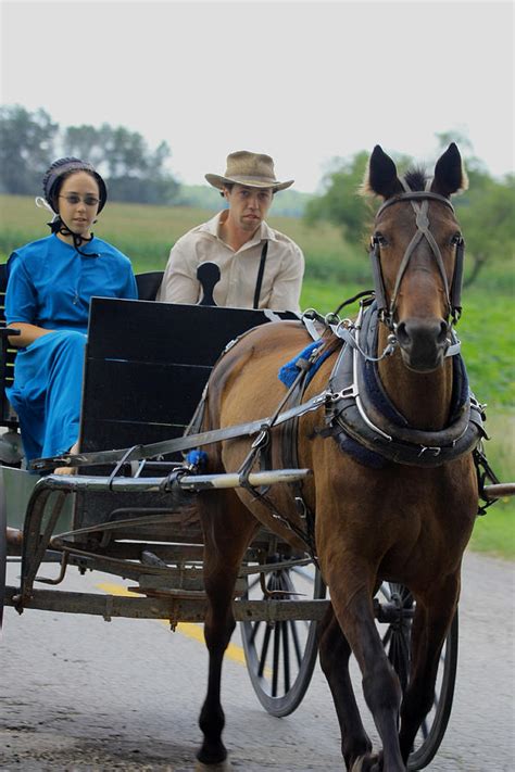 Amish Buggy Ride Photograph by Dennis Pintoski