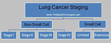 Staging of Lung Cancer- The Best Oncologist TM