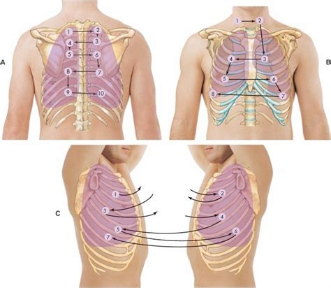 HESI Case Studies | Lunges, Nursing school clinicals, Medical school essentials